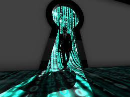 Cyber Crime